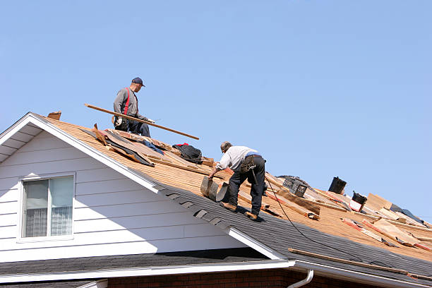 Best Roof Installation  in Dollar Bay, MI