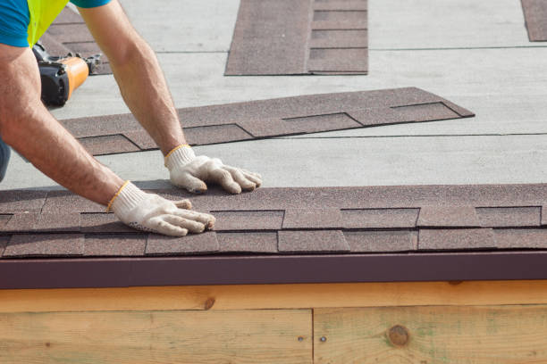 Best Storm Damage Roof Repair  in Dollar Bay, MI